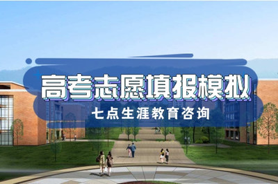 德陽志愿填報(bào)模擬與跆拳道技術(shù)咨詢指南