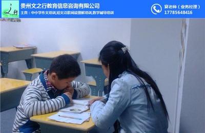 貴州文之行教育信息咨詢 專業(yè)引領(lǐng)，助力教育夢想